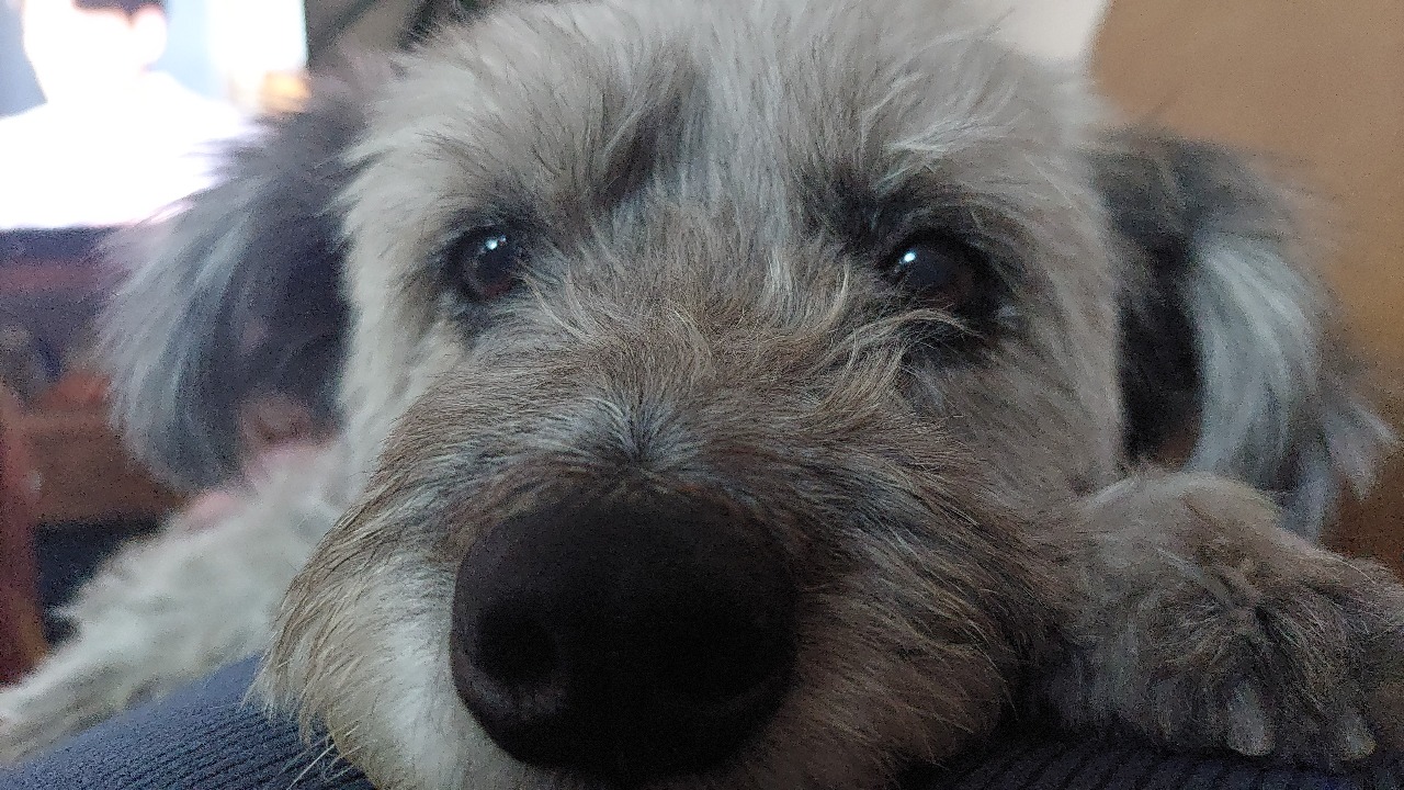 Una nube llamada Mía