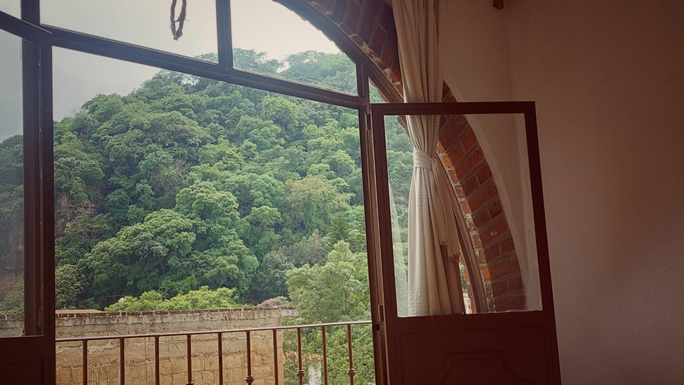 Hoy vi los árboles bailar