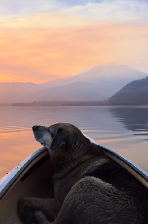 Belleza efímera, amor eterno