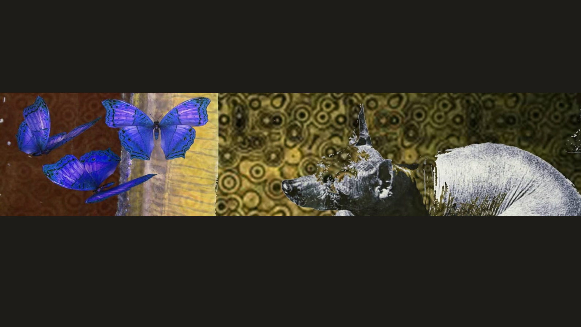 Nota astrológica | Luna Nueva • EL  ACORDEÓN